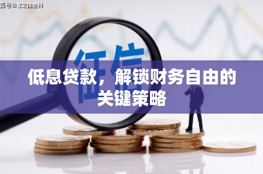 亭湖低息贷款，解锁财务自由的关键策略