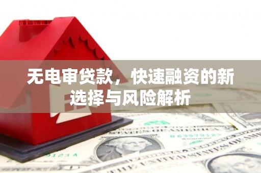 亭湖无电审贷款，快速融资的新选择与风险解析