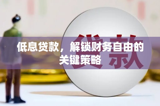 亭湖低息贷款，解锁财务自由的关键策略
