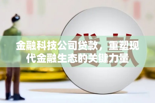亭湖金融科技公司贷款，重塑现代金融生态的关键力量