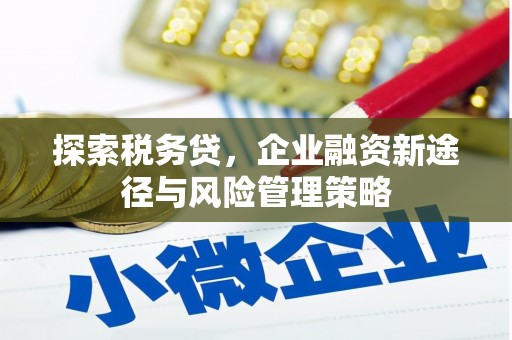 亭湖探索税务贷，企业融资新途径与风险管理策略