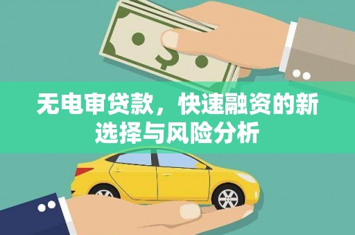 亭湖无电审贷款，快速融资的新选择与风险分析