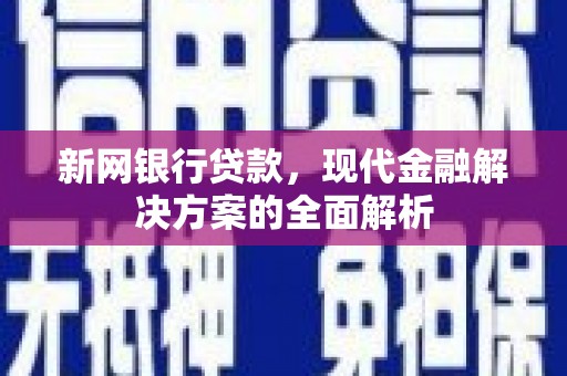 亭湖新网银行贷款，现代金融解决方案的全面解析
