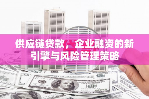 亭湖供应链贷款，企业融资的新引擎与风险管理策略