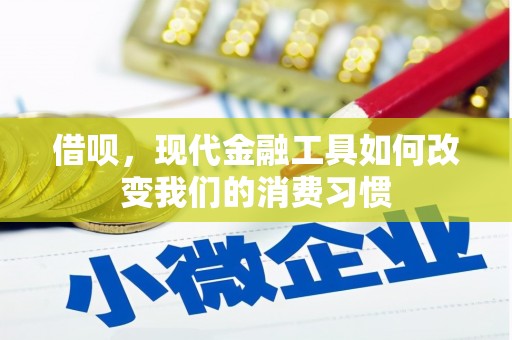 亭湖借呗，现代金融工具如何改变我们的消费习惯