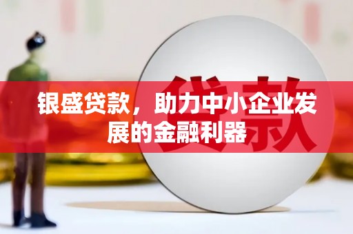 亭湖银盛贷款，助力中小企业发展的金融利器