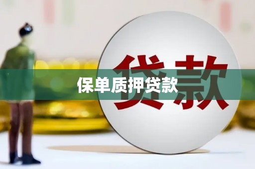 亭湖保单质押贷款