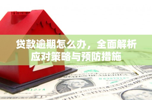 亭湖贷款逾期怎么办，全面解析应对策略与预防措施