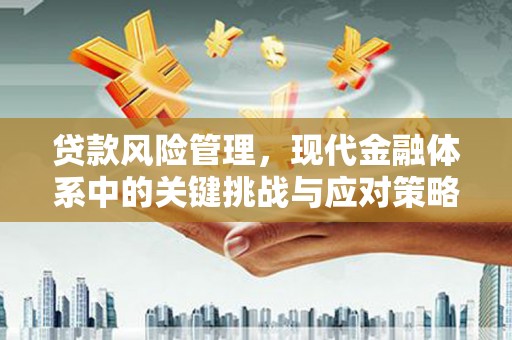 亭湖贷款风险管理，现代金融体系中的关键挑战与应对策略