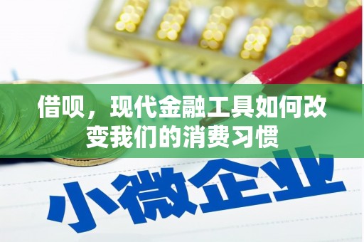 亭湖借呗，现代金融工具如何改变我们的消费习惯