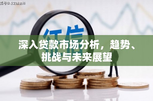 亭湖深入贷款市场分析，趋势、挑战与未来展望