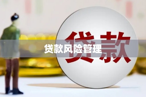亭湖贷款风险管理