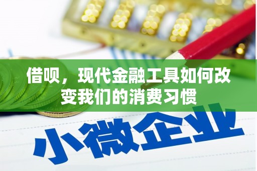 亭湖借呗，现代金融工具如何改变我们的消费习惯