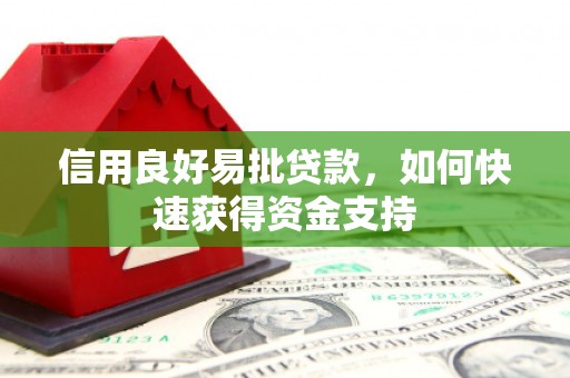 亭湖信用良好易批贷款，如何快速获得资金支持
