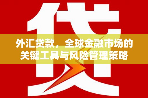 亭湖外汇贷款，全球金融市场的关键工具与风险管理策略