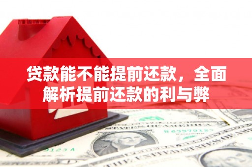 亭湖贷款能不能提前还款，全面解析提前还款的利与弊