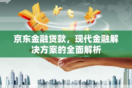 亭湖京东金融贷款，现代金融解决方案的全面解析