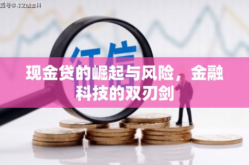 亭湖现金贷的崛起与风险，金融科技的双刃剑