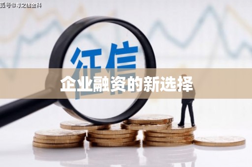 亭湖企业融资的新选择