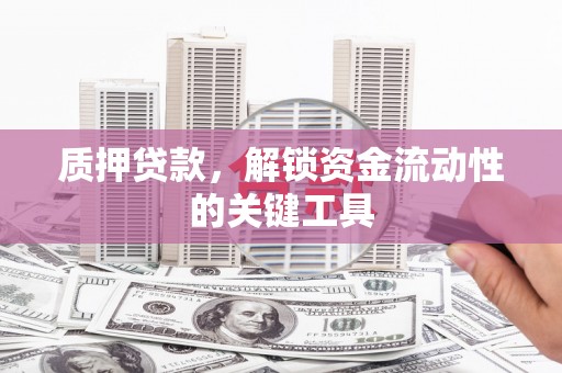亭湖质押贷款，解锁资金流动性的关键工具