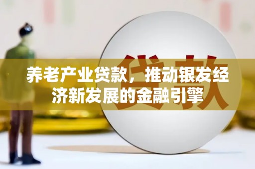 亭湖养老产业贷款，推动银发经济新发展的金融引擎