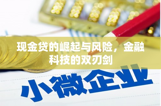 亭湖现金贷的崛起与风险，金融科技的双刃剑