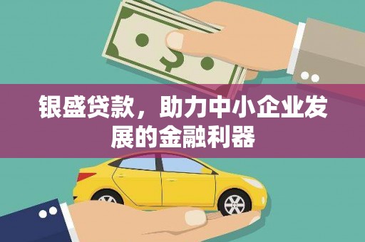 亭湖银盛贷款，助力中小企业发展的金融利器
