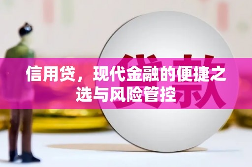 亭湖信用贷，现代金融的便捷之选与风险管控