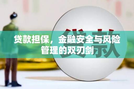 亭湖贷款担保，金融安全与风险管理的双刃剑