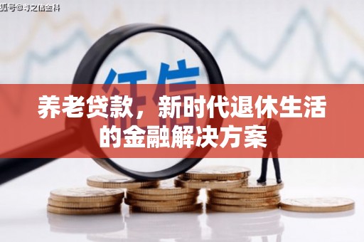 亭湖养老贷款，新时代退休生活的金融解决方案