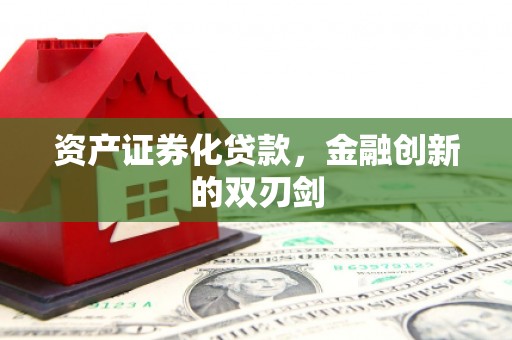 亭湖资产证券化贷款，金融创新的双刃剑
