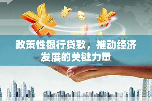亭湖政策性银行贷款，推动经济发展的关键力量