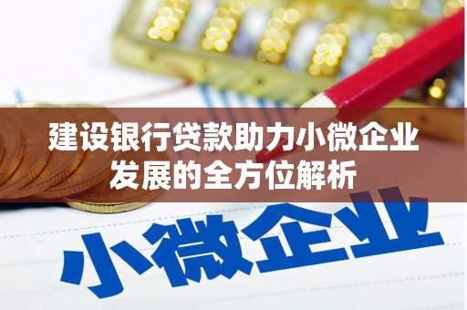 亭湖建设银行贷款助力小微企业发展的全方位解析