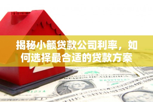 亭湖揭秘小额贷款公司利率，如何选择最合适的贷款方案