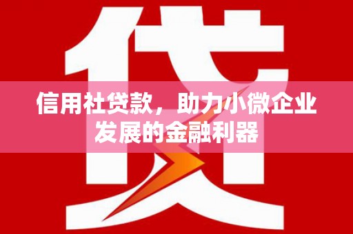 亭湖信用社贷款，助力小微企业发展的金融利器