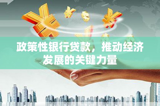 亭湖政策性银行贷款，推动经济发展的关键力量
