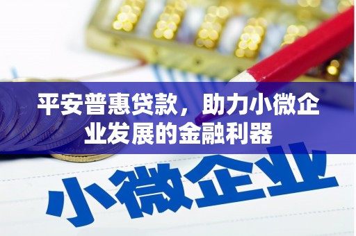 亭湖平安普惠贷款，助力小微企业发展的金融利器