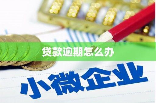 亭湖贷款逾期怎么办