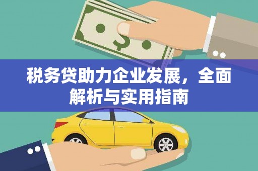亭湖税务贷助力企业发展，全面解析与实用指南