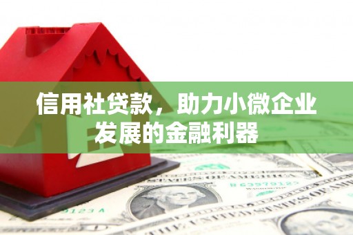 亭湖信用社贷款，助力小微企业发展的金融利器