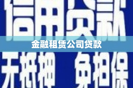 亭湖金融租赁公司贷款