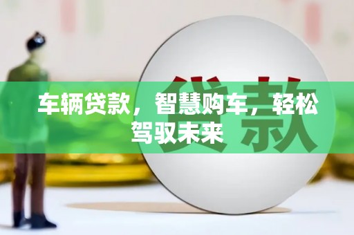 亭湖车辆贷款，智慧购车，轻松驾驭未来