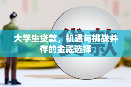 亭湖大学生贷款，机遇与挑战并存的金融选择
