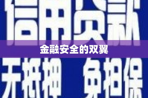 亭湖金融安全的双翼