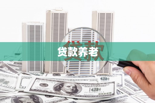 亭湖贷款养老