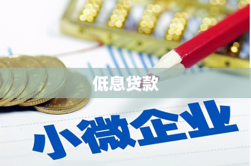 亭湖低息贷款