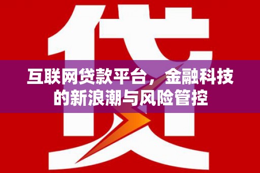 亭湖互联网贷款平台，金融科技的新浪潮与风险管控