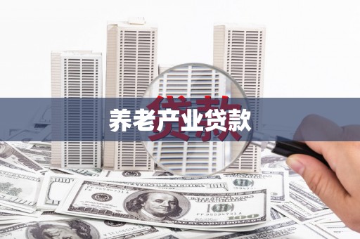 亭湖养老产业贷款