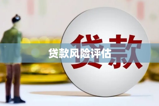 亭湖贷款风险评估