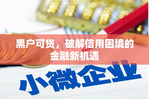 亭湖黑户可贷，破解信用困境的金融新机遇